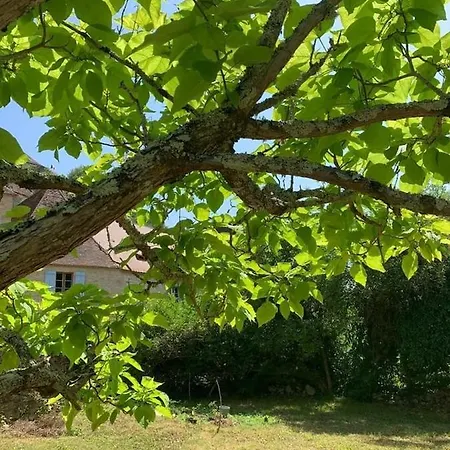 Paradis Cette Petite Maison Au Bord De La Dordogne Marnac