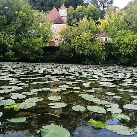 Paradis Cette Petite Maison Au Bord De La Dordogne